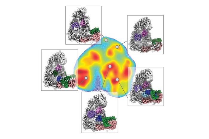 cell degradation