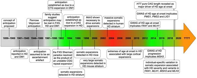 Timeline