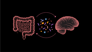 Microbiota transfer therapy provides long term improvement in gut health in children with autism