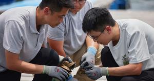 PolyU researchers advance marine conservation and sustainable seafood research