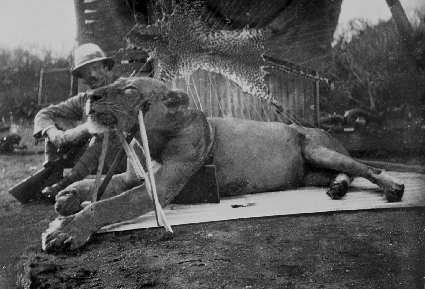 Lt. Colonel John Patterson with Lion