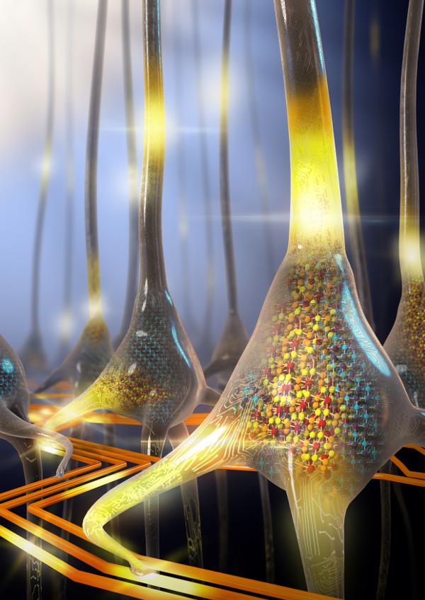 Brain-Inspired Computing Using Phase Change Memory