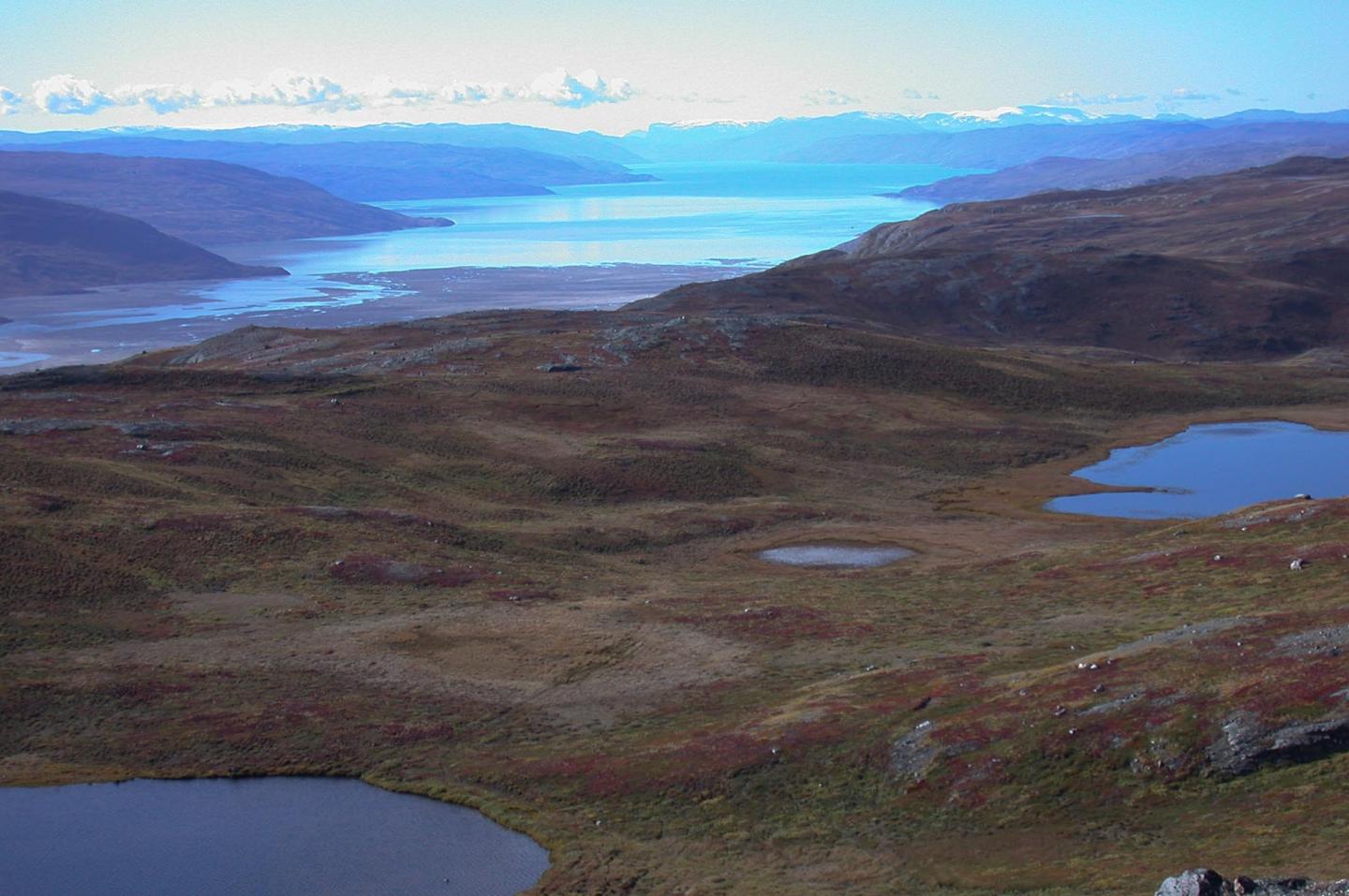 Arctic Climate Shifts Drive Rapid Ecosystem Responses across the West Greenland Landscape