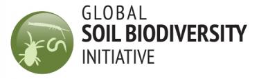 GBSI Logo