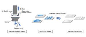 Construction of complex 3D structures that mimic bone microstructure