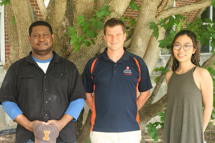 Team finds link between dietary cholesterol and influenza severity