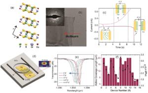 Figure | Utilizing Ferroionic 2D Materials for Electro-Optic Performance in Silicon Photonic Circuits.