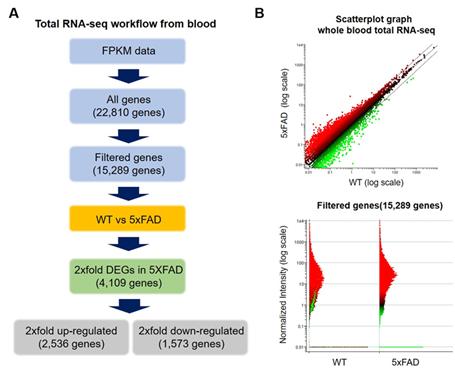 Total RNA-seq Workflow and Gene Expression Change Profile