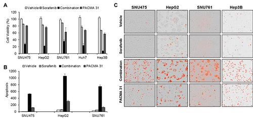 Simulation Results from Cellular Experiments