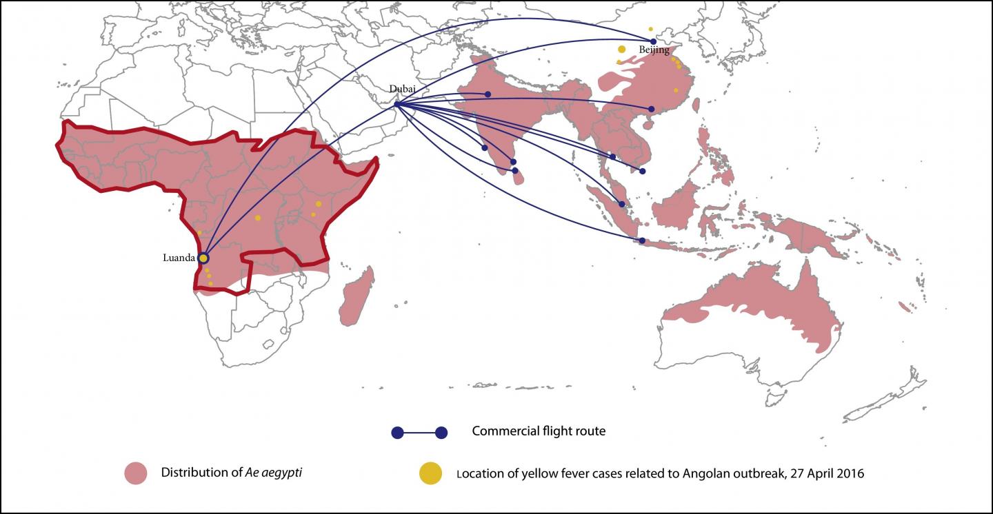 Yellow fever epidemic threatens to spread fro EurekAlert!