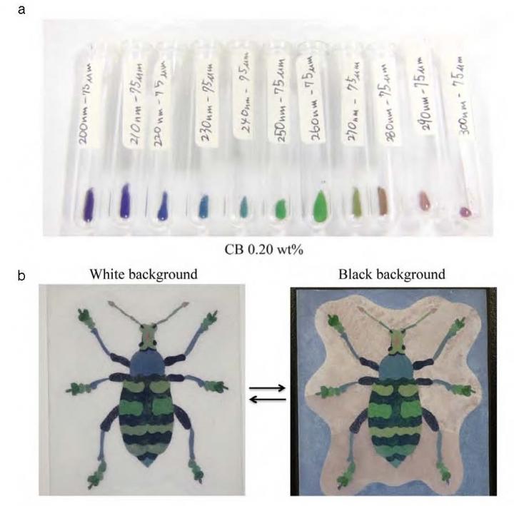 The secret to chameleon color change: Tiny crystals, Science