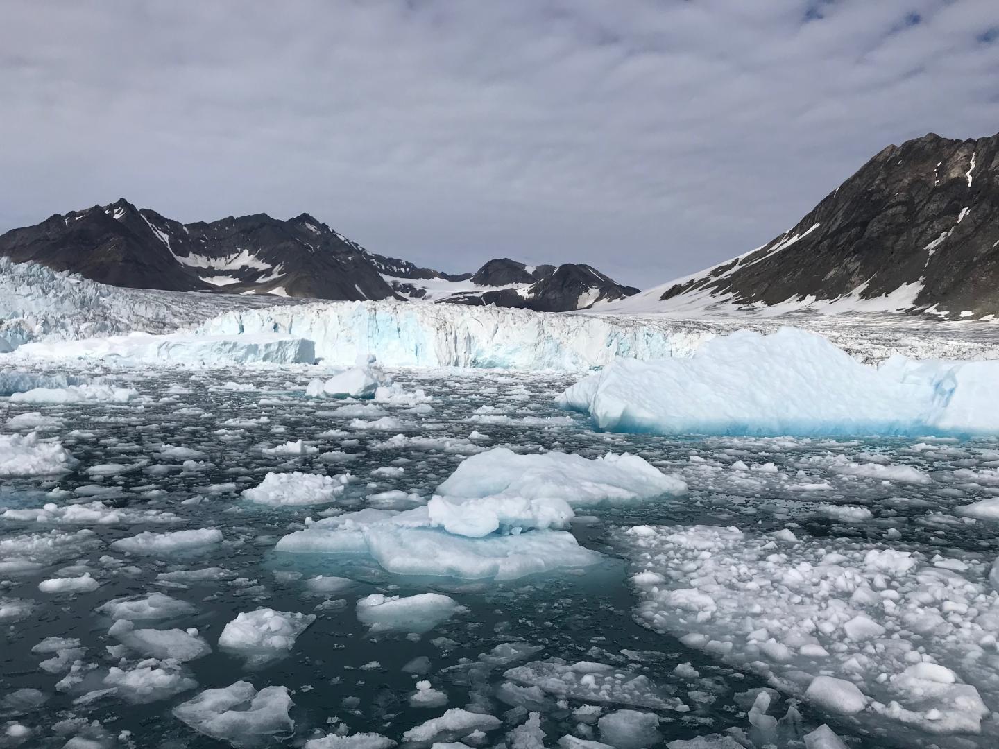 Tidewater glacier in Southeast Greenland, summer of 2018.