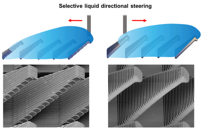Dual-scale structures enabled selective liquid directional steering