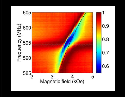 Strong Coupling Between Microwaves and Nuclei