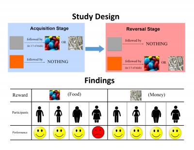 When It Comes To Food, Obese Women's Learning Is Impaired
