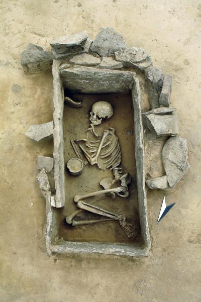 How Early Human Migrations Stirred Europe's Genetic Pot (2 of 12)