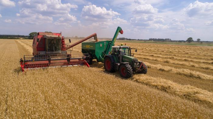Wheat Harvest credit Heiko Janowski