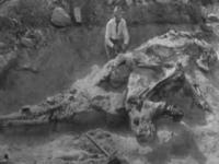 Texas frontier scientists had role in epic Bone Wars