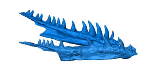 An intriguing new diapsid reptile with evidence of mandibulo-dental pathology from the early Permian of Oklahoma revealed by neutron tomography