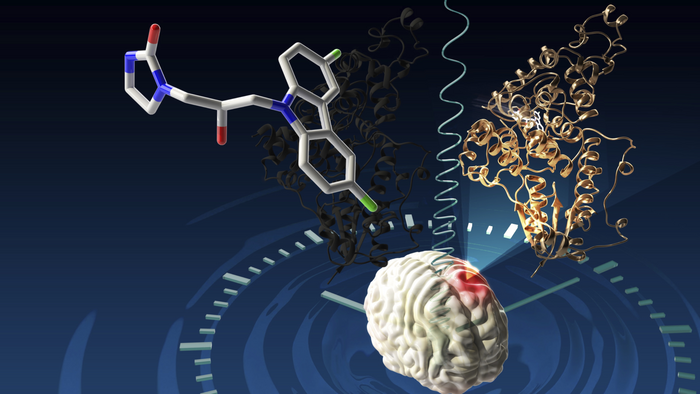 New glioblastoma drug