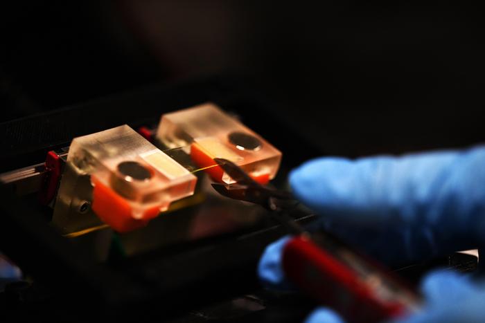 The scientists induced cracks in hydrogel samples with a standard Swiss Army knife © EMSI EPFL CC BY SA