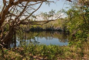 Entrance to a cenote