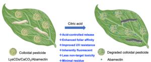 New Pesticide Formulation Developed for Safer and More Effective Pest Control