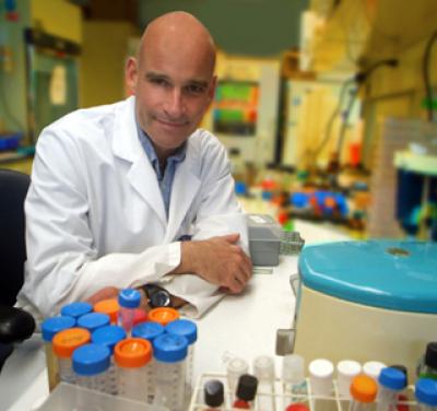 Alcohol Consumption Can Cause Too Much Cell Death, Fetal Abnormalities (2 of 2)