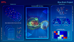 Cell Atlas