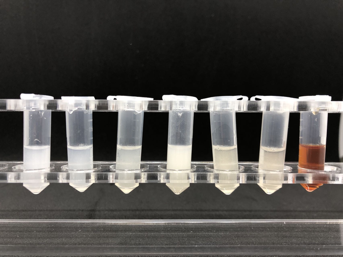 Photocatalysts with Built-in Electric Field Helps to Remove Pollutants from Water