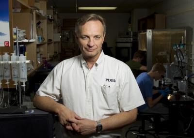 The Flu's Proton Escort (2 of [IMAGE] | EurekAlert! Science News Releases