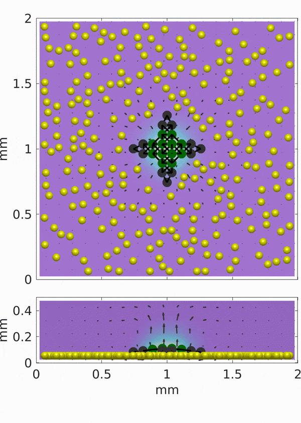 Biomimicry of Feeding