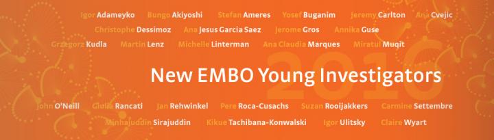 EMBO Young Investigators 2016