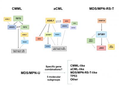 Visual Abstract