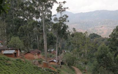 A Village in Tanzania