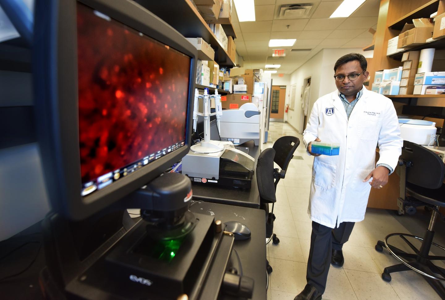 Anilkumar Pillai, Medical College of Georgia at Augusta University