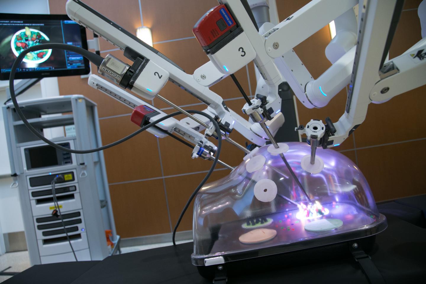 Robotic Urologic Surgery Demonstration