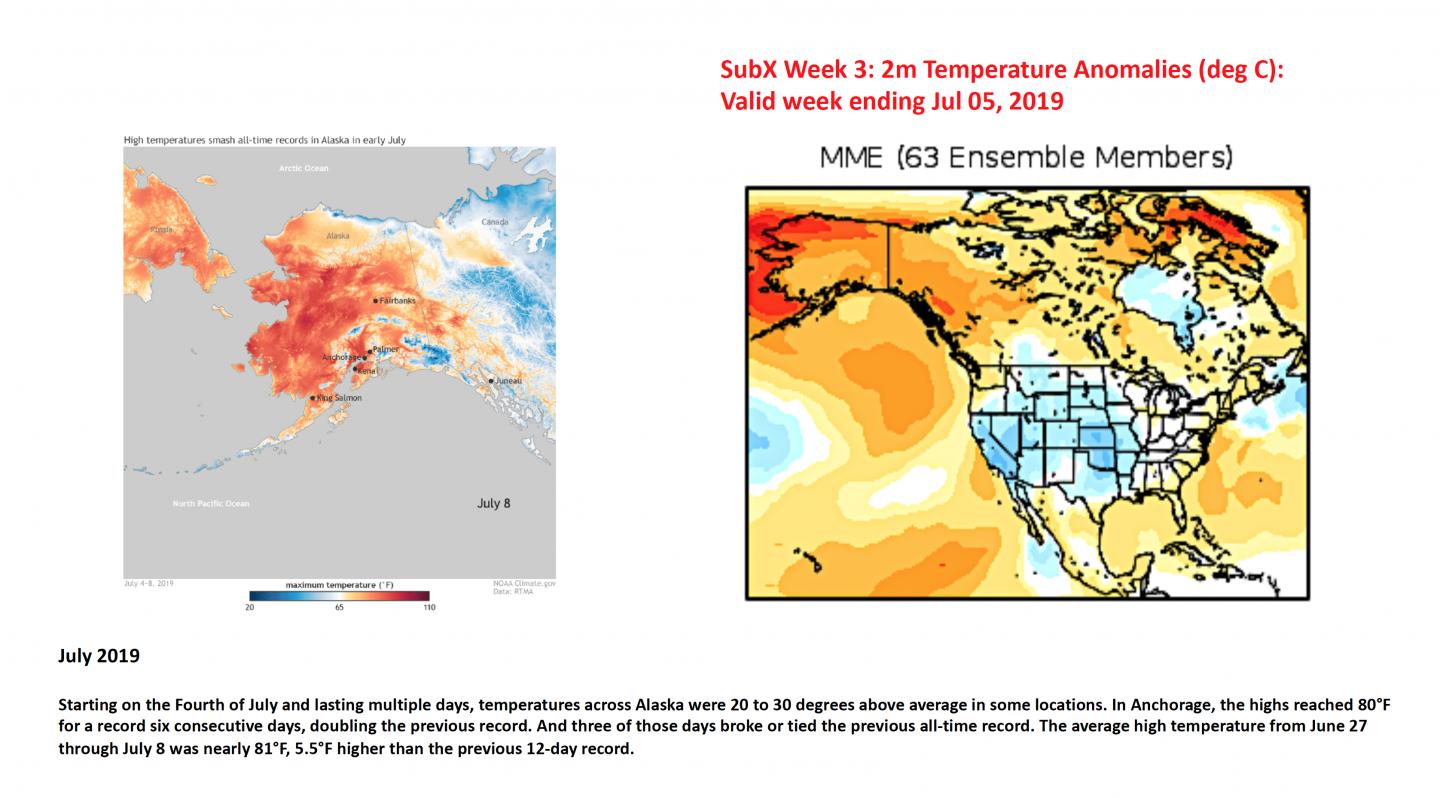 SubX Experiment example 2