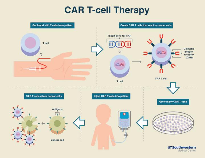 CAR-T Graphic