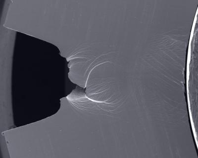 Cracked Palladium Glass