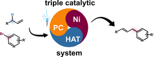 Ternary catalysis