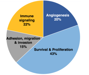 Novel therapeutic agents may reduce the oncogenesis of metastatic prostate cancer