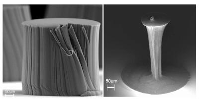 Densified Carbon Nanotube