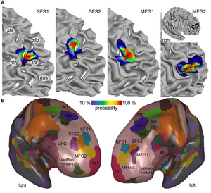 Brain Maps