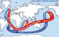 Map of the World Showing the Route of the Great Ocean Conveyor Currents