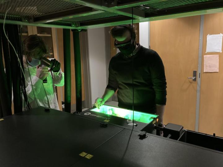 UChicago scientists in the lab