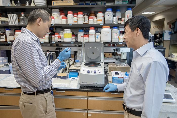 Drs. Li and Fan In Their Research Lab At MUSC