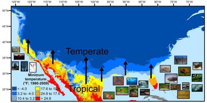 Tropical-temperate climate and ecological transition zones in North America