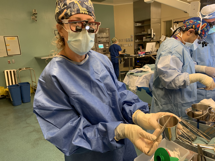 Dr. Karen Devon show parathyroid prior to transplant