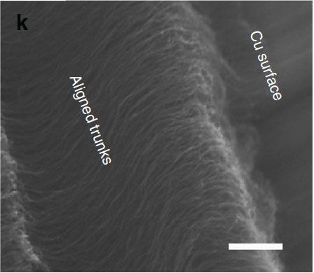 Gecko-Inspired Adhesive Withstands Temperature Extremes
